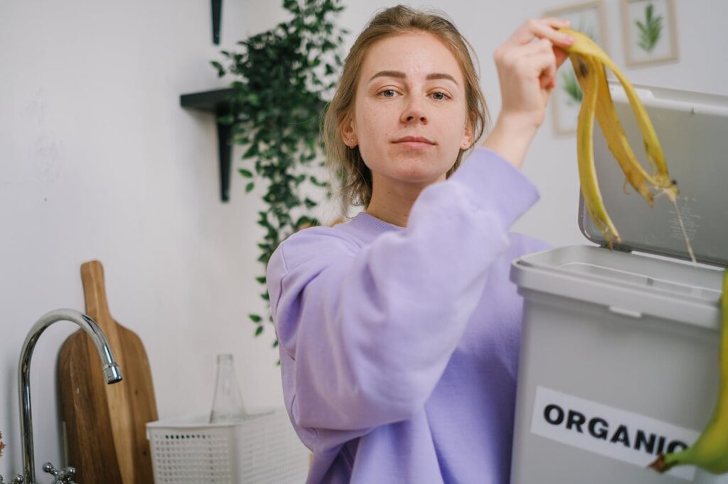 Wheelie Bin Cleaning